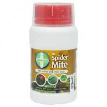 Spider Mite Control